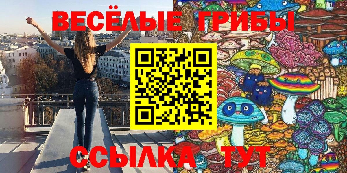 Сердобск  Псилоцибиновые грибы мухоморы  Псилоцибиновые грибы Psilocybine cubensis  Вход с VPN 